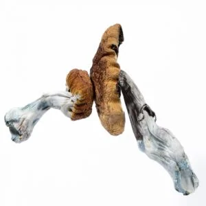Champignon bleu méchant