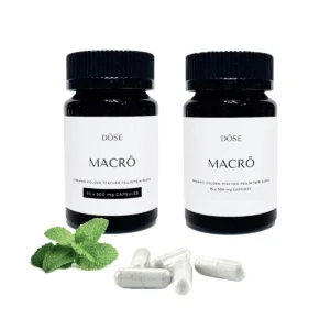 Capsules de psilocybine Dose MACRO Golden Teacher Macrodose