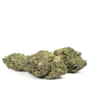 Poison de Durban