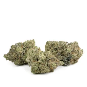 Variété Gator Breath