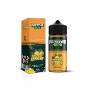 Liquide de vapotage CBD Professor Herb 1000 mg, saveur sorbet à la mangue