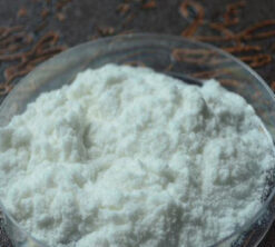poudre de scopolamine