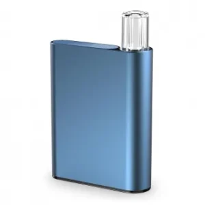 Batterie externe CCELL Palm 500 mAh, connecteur 510 + chargeur