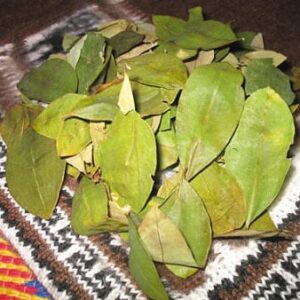 Feuilles de coca 100 g