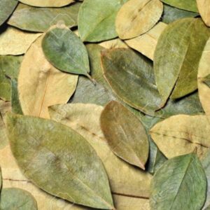 Feuilles de coca 200 g