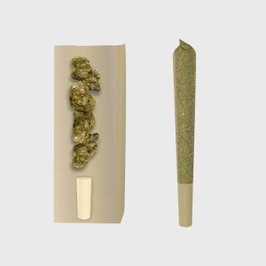 🍦Pré-roulés Gelato – Niveau de puissance : 4/5