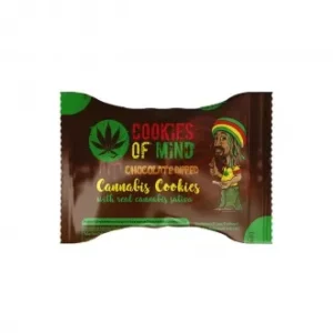Biscuits au chanvre et chocolat de l'esprit