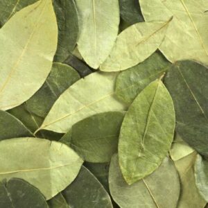 Feuilles de coca 1 000 g (1 kg)
