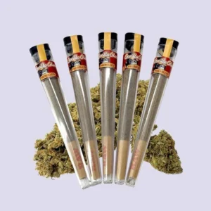 Pack de pré-roulés HHZ – Colle Gorilla avec 5 pièces