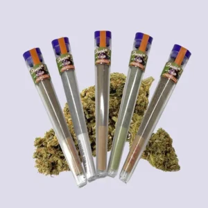 Pack de pré-roulés HHZ – Skunk 1 avec 5 pièces