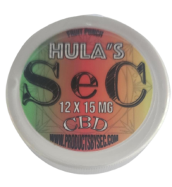 Punch aux fruits de SeC Hula