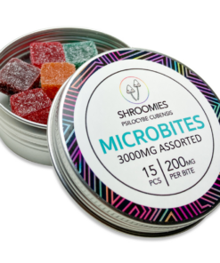 Champignons – Microdoses