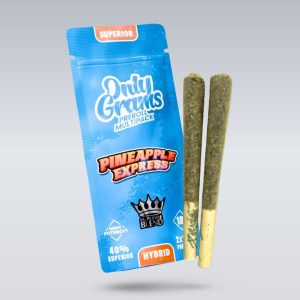Pré-roulés de qualité supérieure 40 % – Ananas Express 3 g